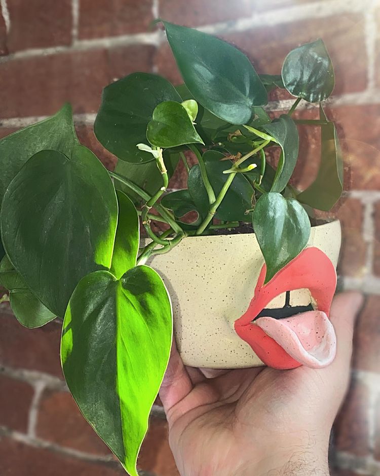 Handmade plant pot by Aiden Amina with red lips and pink tongue