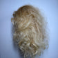 Wig #66 Lacefront PreLoved